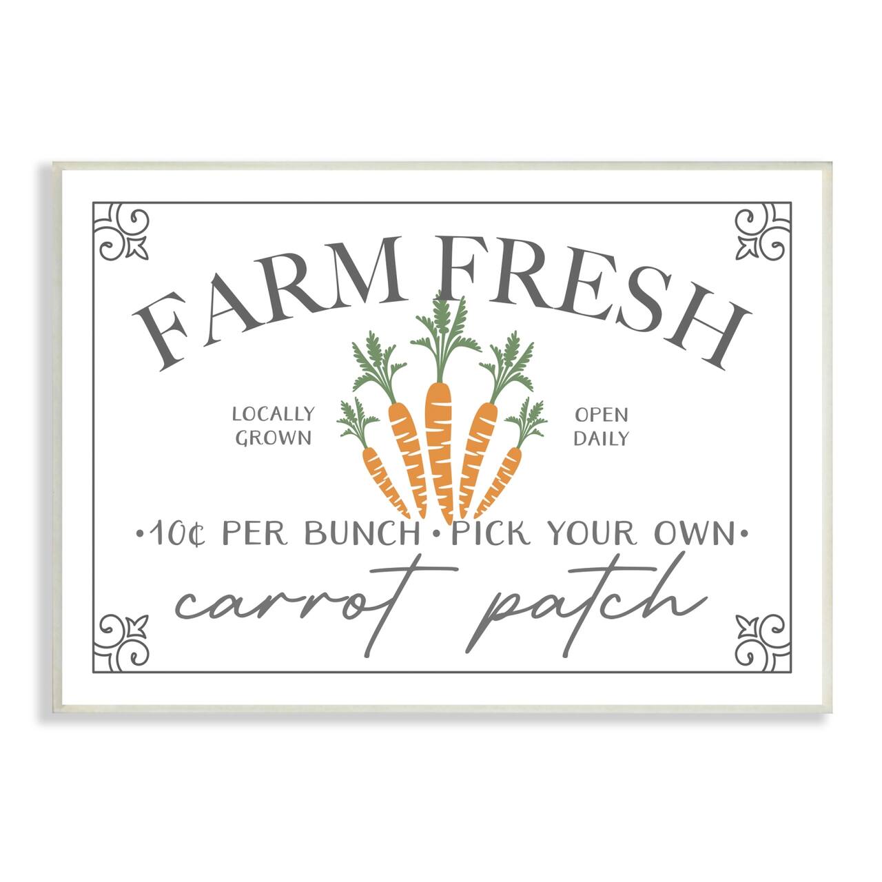 Stupell Industries Farm Fresh Carrot Patch Seasonal Springtime Vegetables Wall Plaque Art